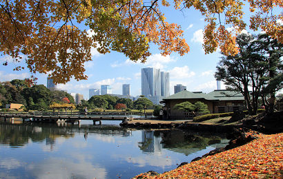 �l���{�̏H